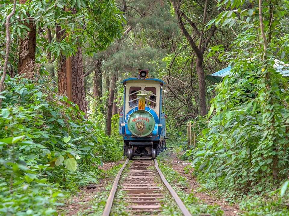 jungle safari in maharashtra