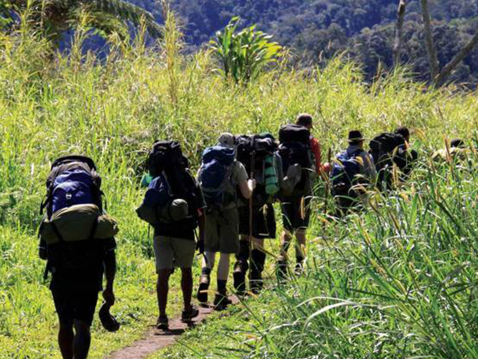 jungle safari in maharashtra